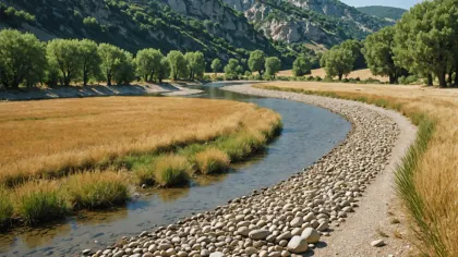 Lit de rivière à l'étiage en plein été, large banc de galets clairs à découvert, mince filet d'eau et peupliers aux feuilles jaunies sur la berge